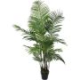 Silkkikasvi Betelpalmu 160 cm