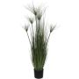 Silkkikasvi Papyrus heinä 127 cm