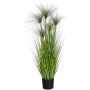 Silkkikasvi Papyrus heinä 127 cm