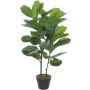Silkkikasvi Ficus Lyrata 100 cm
