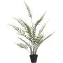 Silkkikasvi Saniainen 91 cm