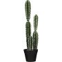 Silkkikasvi kaktus 51 cm