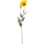 Silkkikasvi unikko keltainen 115 cm