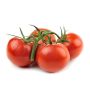 Tomaatintaimi Kotimainen Ø 9 cm