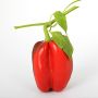 Paprika Kotimainen Ø 9 cm
