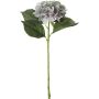 Koristeoksa Hortensia 51 cm sininen
