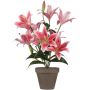 Silkkikasvi Tiikerililja 47 cm pinkki