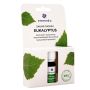 Saunatuoksu Emendo Eukalyptus 10 ml