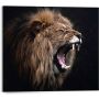 Sisustustaulu Reinders Roaring Lion 40 x 50 cm