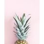 Painokuva Art Link Pineapple 40 x 50 cm