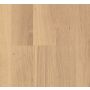 Parketti Parador Basic 11-5 Oak White Matt Lacquered