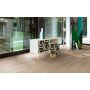 Parketti Parador Basic 11-5 Oak White Matt Lacquered