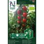 Kirsikkatomaatti Nelson Garden Monterrey Luomu