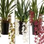 Kymbidiorkidea Cymbidium Cascade Mix 2-vanaa P14