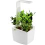 Sisäpuutarha Tregren T3 valkoinen