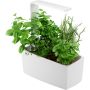 Sisäpuutarha Tregren T6 valkoinen