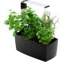 Sisäpuutarha Tregren T6 musta