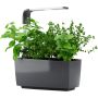 Sisäpuutarha Tregren T6 harmaa