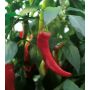 Chilipaprika Hyper
