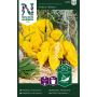 Chilipaprika Havanna Drago Yellow