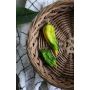 Chilipaprika Havanna Drago Yellow