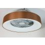 LED-tuuletinplafondi Proklima Mary ruskea/hopea Ø 57 cm