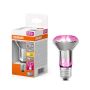 LED-kasvilamppu Osram Star Filament 100° 7.5W E27
