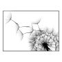 Sisustustaulu Reinders Dandelion 50 x 70 cm