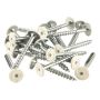 Ruuvi FibroTech valkoinen TX25 5,0 x 45 mm 100 kpl