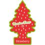 ILMANRAIKASTIN WUNDER-BAUM STRAWBERRY