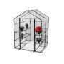 Kasvihuone Hortus XL 195 x 143 x 143 cm