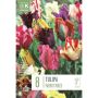 Syyskukkasipuli Tulppaani Parrot Mix 8 kpl