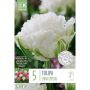 Syyskukkasipuli Tulppaani Snow Crystal 8 kpl
