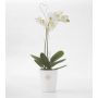 Orkidearuukku Merina Pretty mattavalkoinen Ø14 x 15 cm