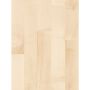 Parketti Parador Basic 11-5 European Maple White Matt